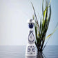 Pack de 10 TEQUILA VAPE 15K