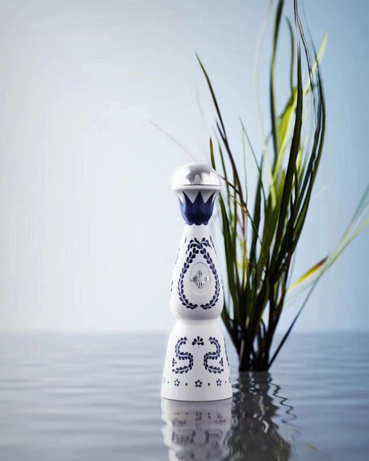 Pack de 10 TEQUILA VAPE 15K