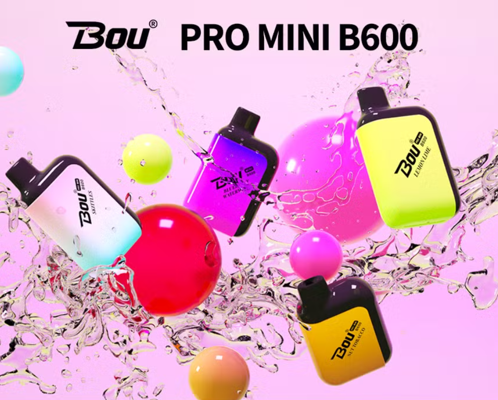 PACK 10 Bou Mini 600puff